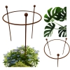 1 x Stylowa Podpora do roślin krzewów kwiatów PERGOLA średnica 45cm wysokość 65cm